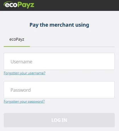 Payz ログイン画面